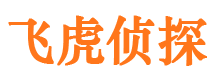 凤台市婚姻调查